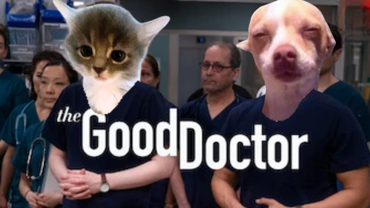 gooddoctor image